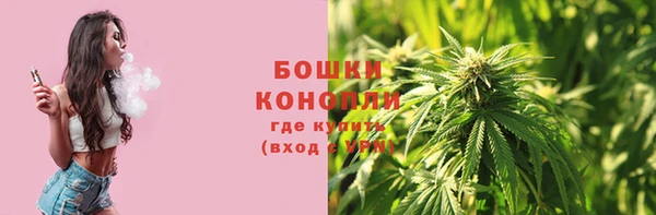 дживик Богородицк