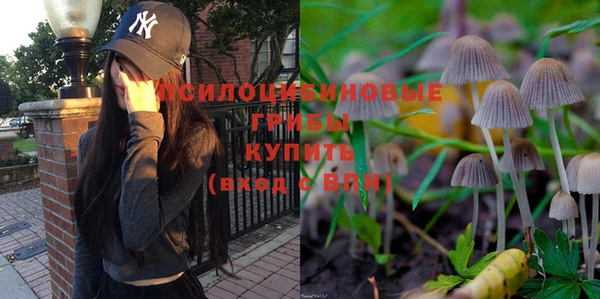 дживик Богородицк