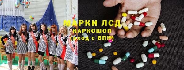 дживик Богородицк