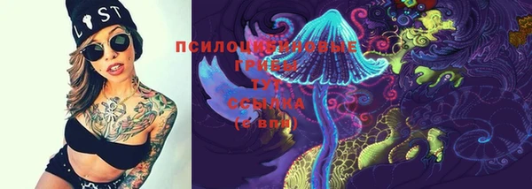 дживик Богородицк